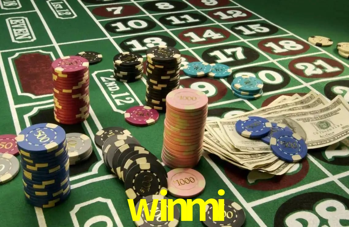 Premium Interface winmi