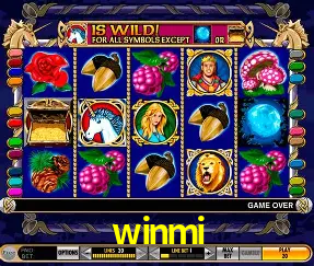 Desvendando o Mundo dos Jogos Virtuais na winmi